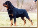 Arko von der Werther-Stadt